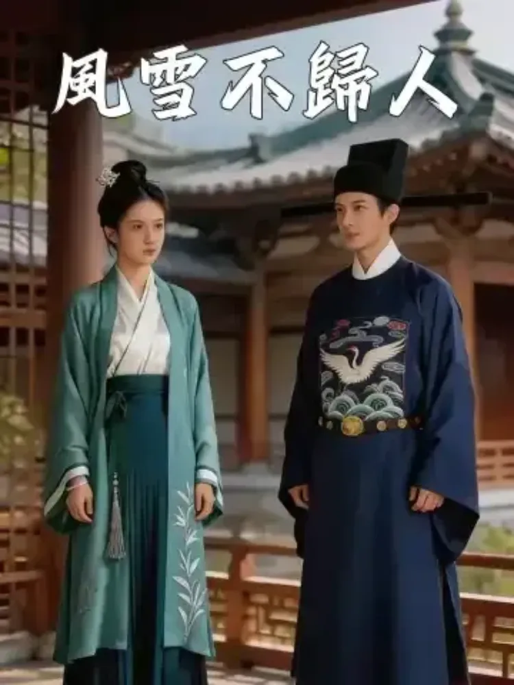 風雪不歸人封面图